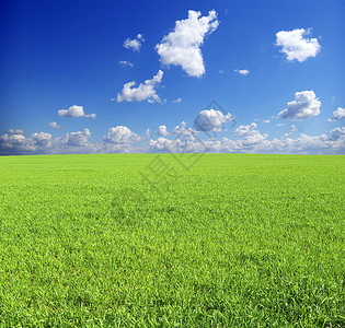 字段场地植物风景草地季节农业远景牧场天空天气背景图片