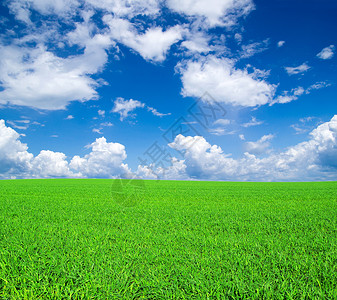 字段天空农场阳光远景地平线植物全景季节场地土地背景图片