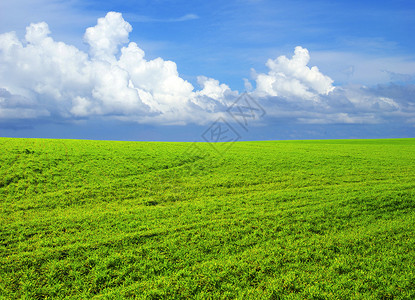 字段草地远景植物乡村农场绿色季节阳光天空天气背景图片