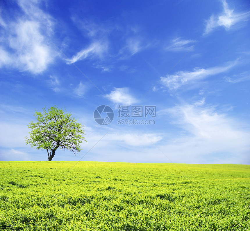 字段农场季节农业绿色土地乡村草地场地天空阳光图片