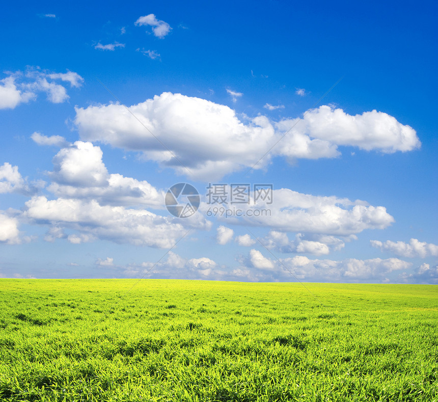 字段地平线农场天空土地牧场植物季节风景草地绿色图片