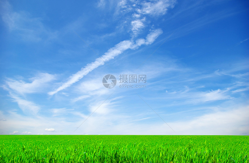 字段全景场地乡村远景土地天气植物阳光绿色地平线图片