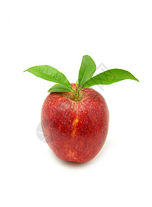 苹果甜点黄色水果白色食物背景图片