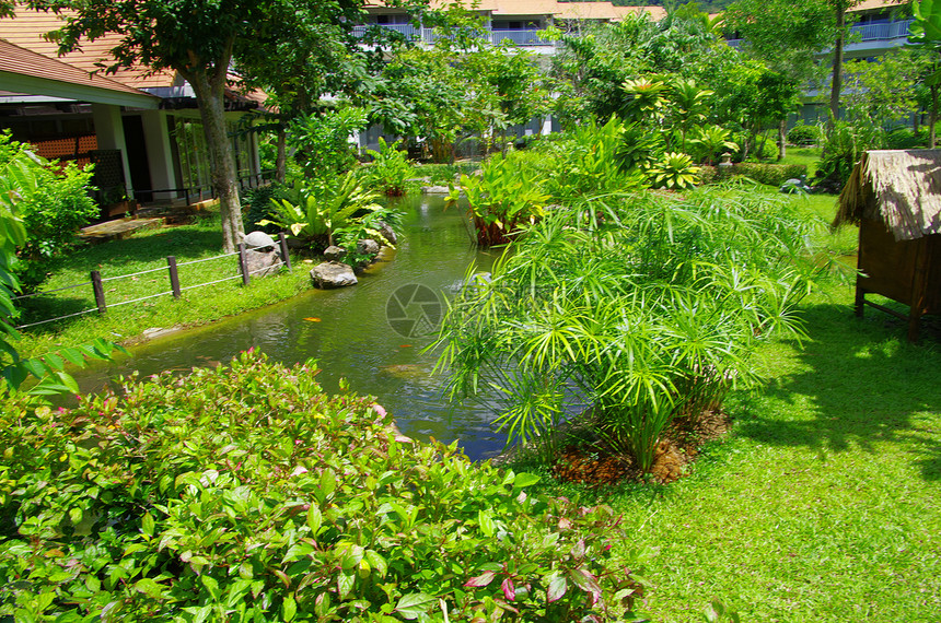 花园园后院院子路线草地植物学公园风格花园车道美化图片