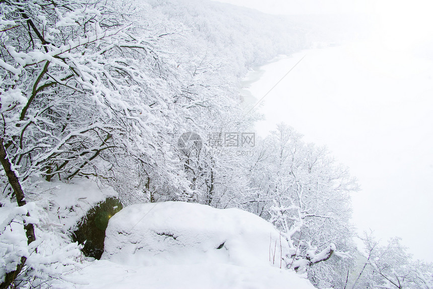 冬季风景雪花树木团体天气天空森林植物白色季节图片
