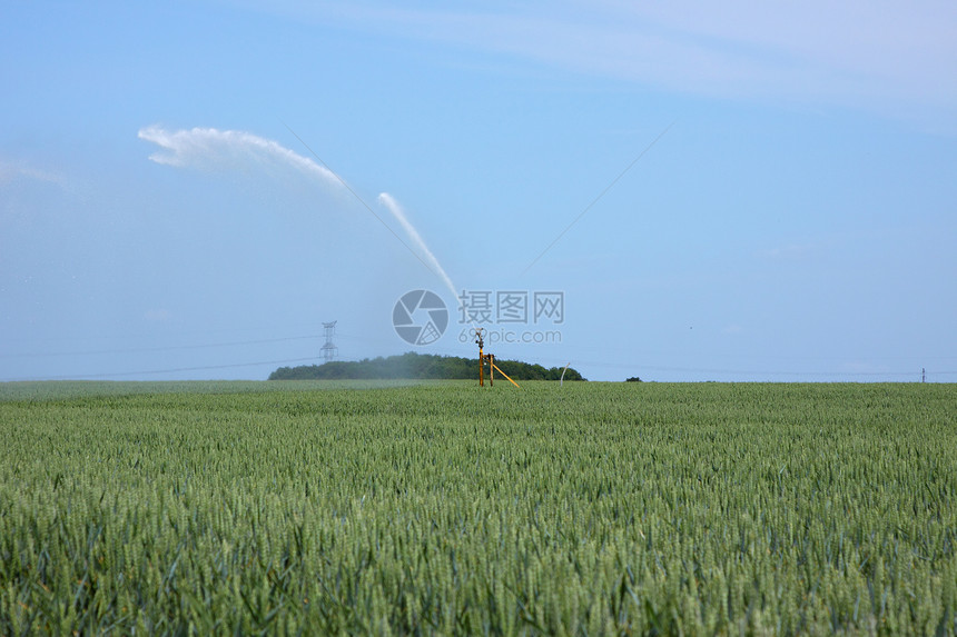 夏季小麦田用水量资源压力天空车轮生长农村技术机器金属粮食图片