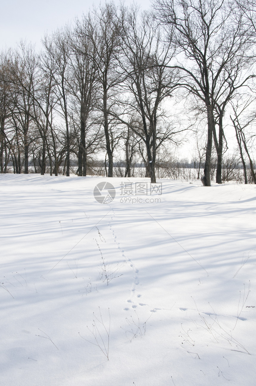 雪地巷季节太阳场景城市脚步人行道痕迹阴影公园脉冲图片