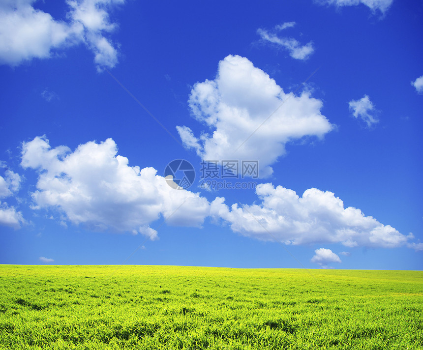 字段绿色场地农业土地牧场季节远景全景阳光天空图片