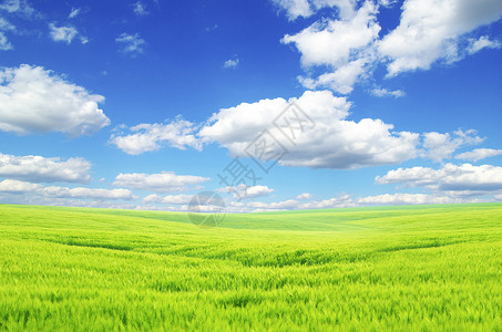 字段远景植物乡村阳光风景绿色农业草地天空场地高清图片