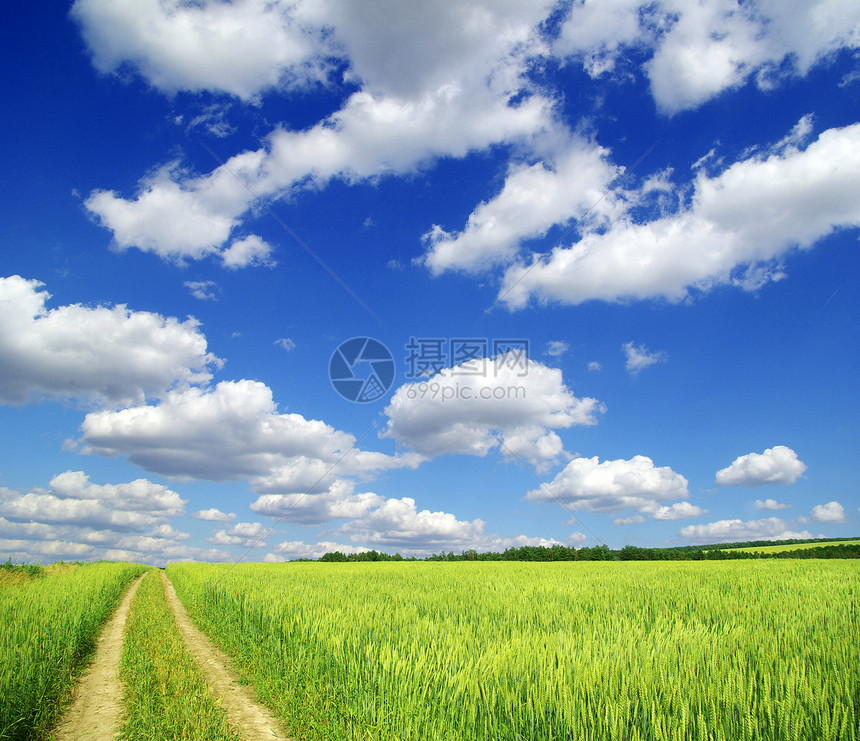 字段季节全景天空绿色天气土地风景牧场阳光地平线图片