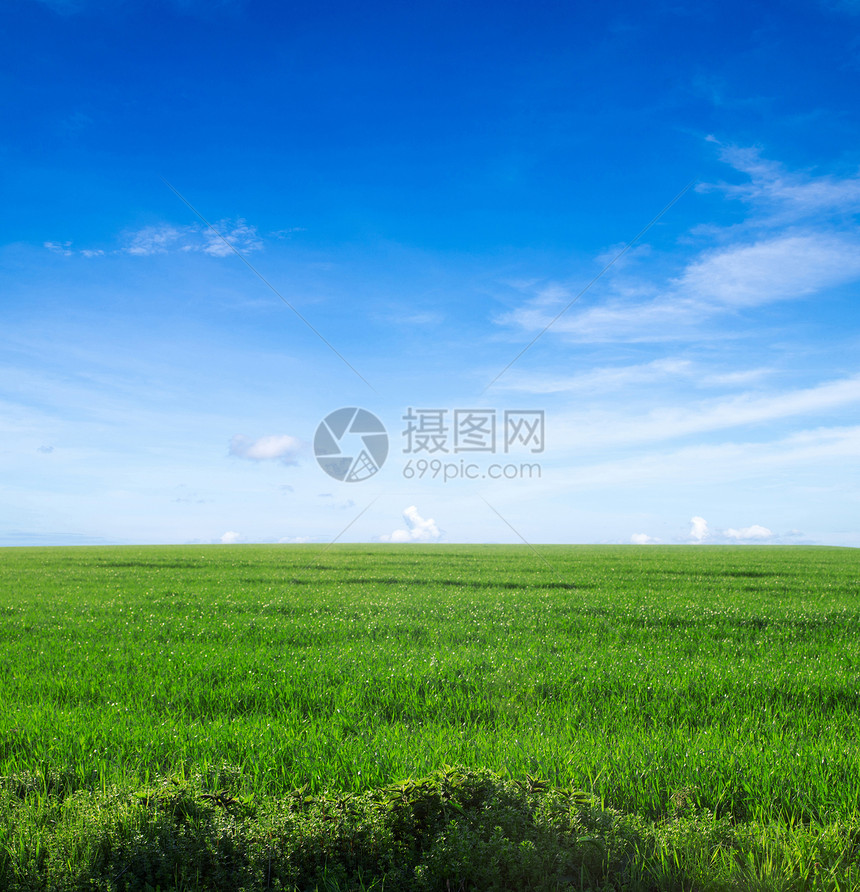 字段场地草地植物全景天空地平线农业乡村农场绿色图片