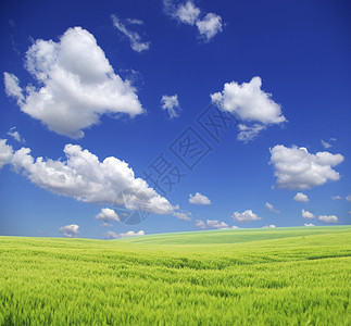 字段牧场土地乡村天空全景农业天气植物农场地平线背景图片