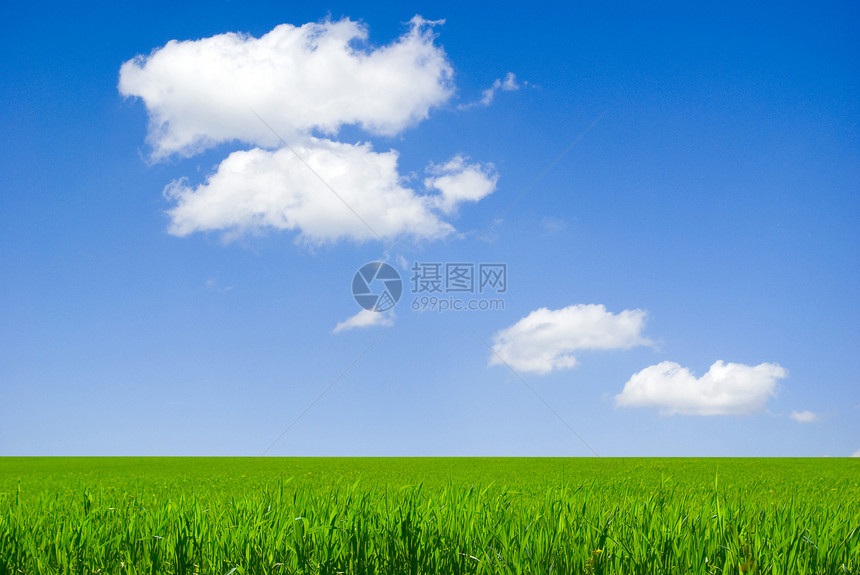字段全景农业绿色草地乡村场地风景牧场季节天空图片