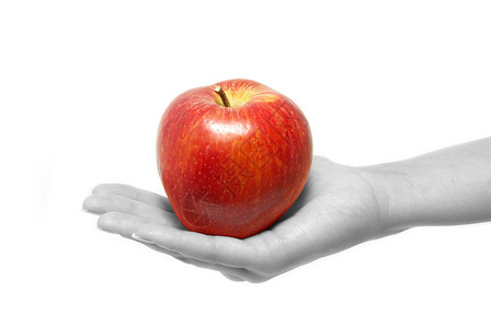 手与苹果饮食食物小吃圆圈水果白色绿色种子营养背景图片
