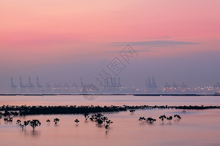 朗哥湾雾雾的清晨集装箱起重机城市进口港口船运货物天际码头运输场景海岸线背景