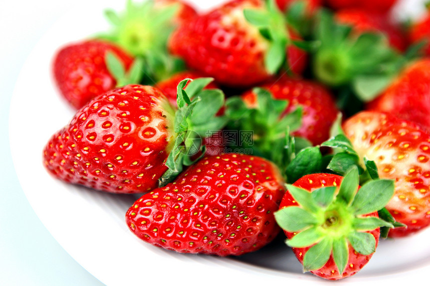 花园草莓饮食水果摄影水平盘子红色图片