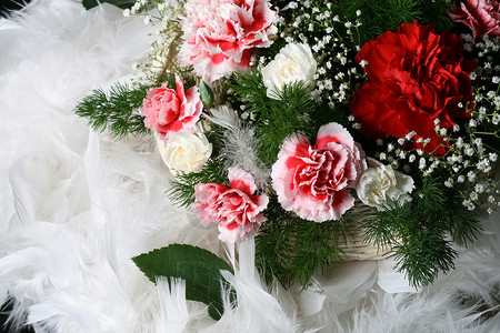 婚前花束新娘婚姻红色白色粉色背景图片