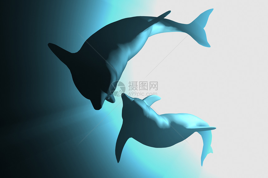 海豚计算机潜水蓝色智力运动场景牙齿海浪波纹动物图片