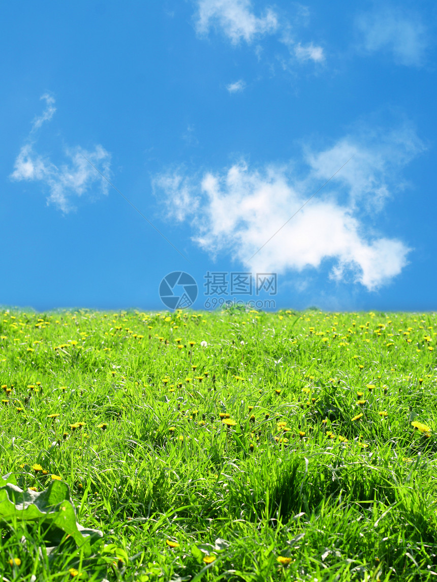 绿草景观植物土地草地农村牧场阳光环境城市太阳天气图片