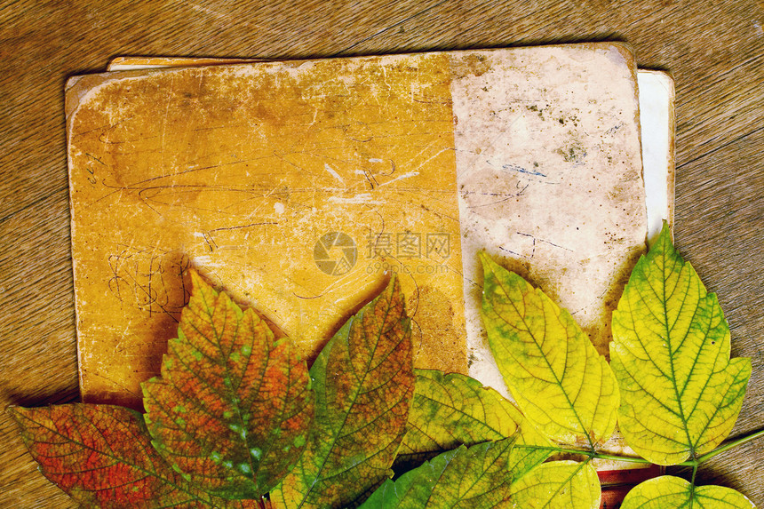 秋天日记材料季节摄影棕色团体古董红色树叶水平图片