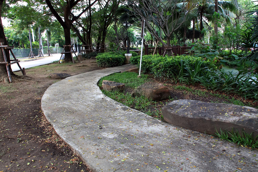卷曲行走道人行道园艺棕榈岩石花园公园路面小路绿色草地图片