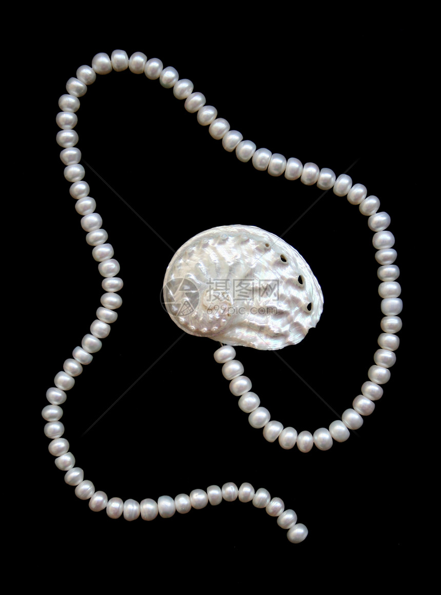 白珍珠和雀斑壳手镯魅力价值观珠子珠宝礼物宝藏项链宝石首饰图片