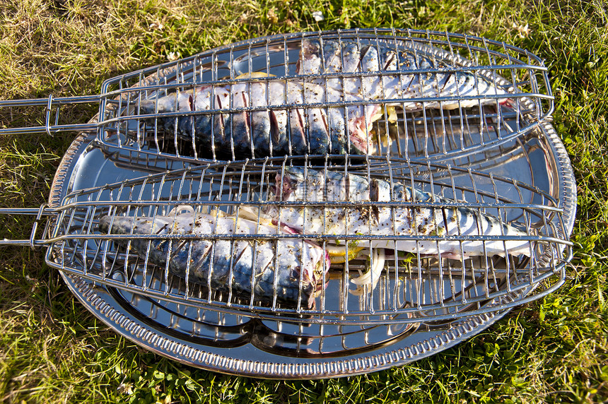灰鱼食物钓鱼炙烤餐饮鲭鱼图片