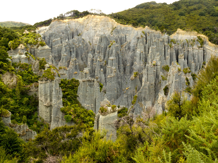 新西兰的荒地流氓岩石巅峰风景旅行植物石峰地标地质学树木侵蚀图片