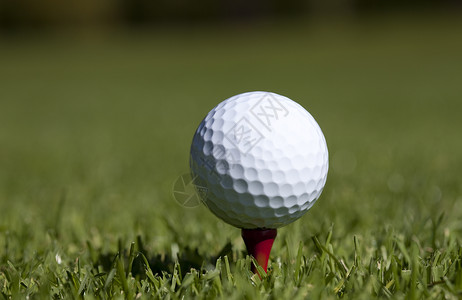 Golfball 特写在红色TTEE背景图片