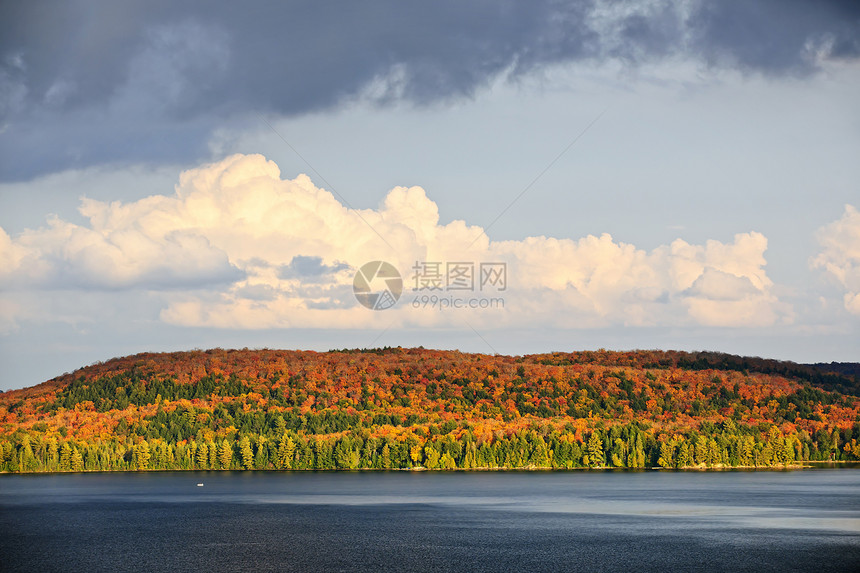 秋林和湖泊晴天海岸线编队森林公园树木阳光支撑荒野蓝色图片