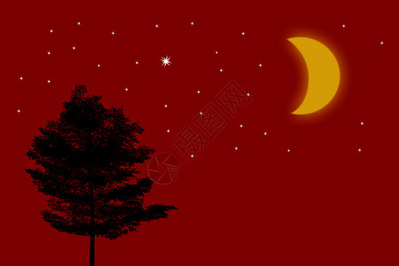 树木休光图公园乡村阳光黑色木头星星森林国家阴影土地背景图片
