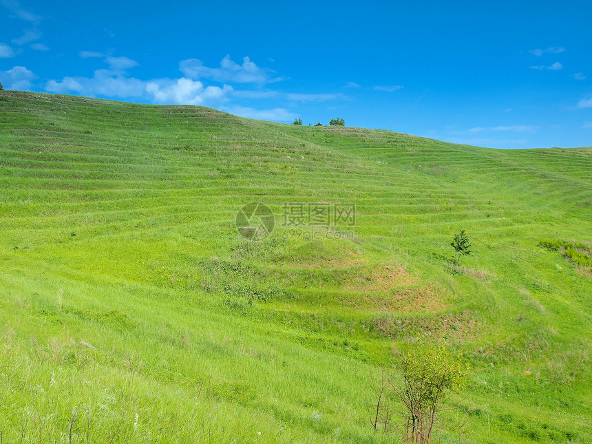 夏季风景阳光丘陵孤独环境草地天空地平线蓝色植物寂寞图片