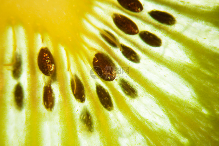 基维语Name维生素营养水果植物绿色食物奇异果果味异国照片图片