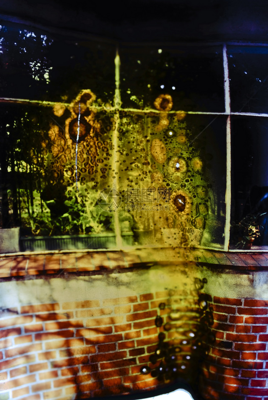 窗户烧伤异化花朵编辑植物艺术扫描图片
