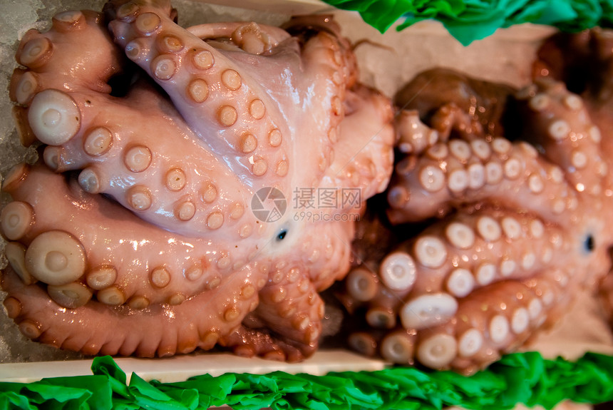 章鱼大厅鱼骨渔业海鲜食物触手市场钓鱼烹饪骨头图片