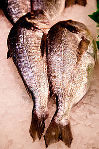 鱼类市场渔业鱼骨食物烹饪拖网大厅鱼片骨头海鲜钓鱼背景图片