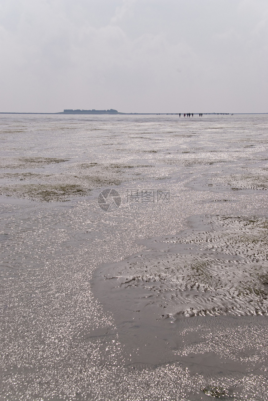 显示器泥滩海岸地平线低潮天空图片