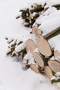 冬季现场树木白色冻结地景寒冷季节高清图片