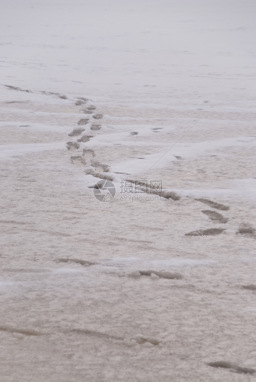 冬季现场芙蓉季节鞭子地景白色寒冷鞭策冻结图片