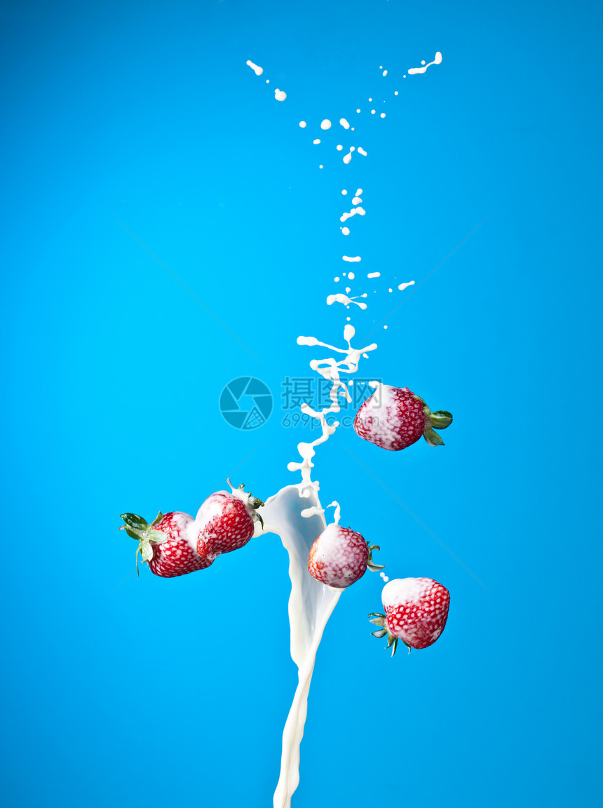 草莓花蓝色甜点牛奶飞溅食物水果红色白色图片