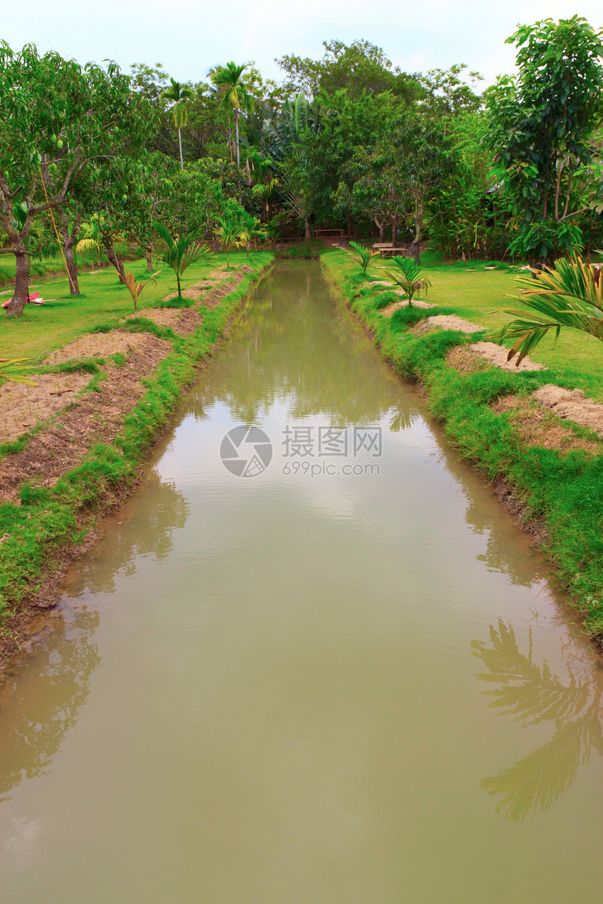 切舍草本植物农村风景农场天空植物季节栅栏哺乳动物草地图片