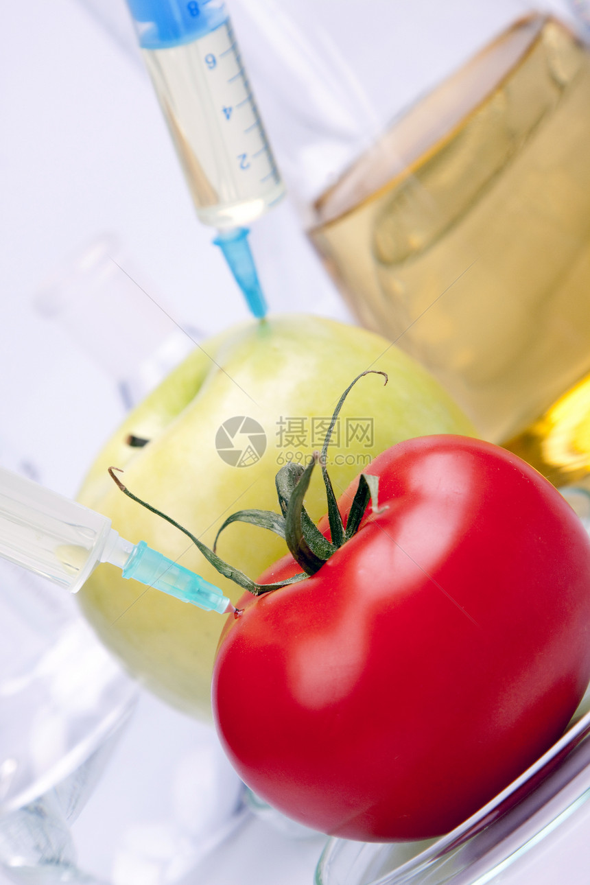遗传研究注射生物化学基因科学营养西红柿注射器技术实验图片