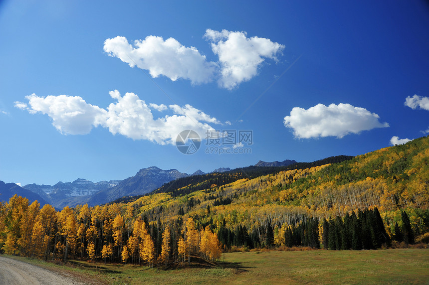秋季风景森林叶子天空蓝色黄色图片