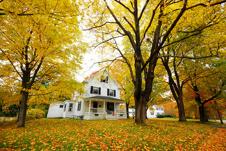 黄色房子秋楼棕色公园叶子树叶季节橙子木头房子窗户国家背景