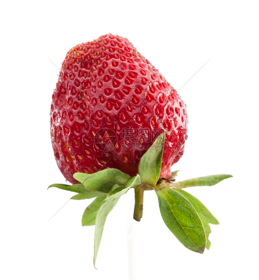 草莓食物白色红色甜点绿色浆果水果叶子活力图片