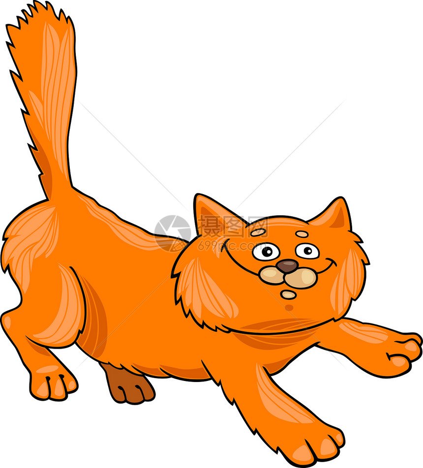 正在运行的红毛猫胡须红色猫科橙子尾巴插图卡通片绘画鼠标动物图片