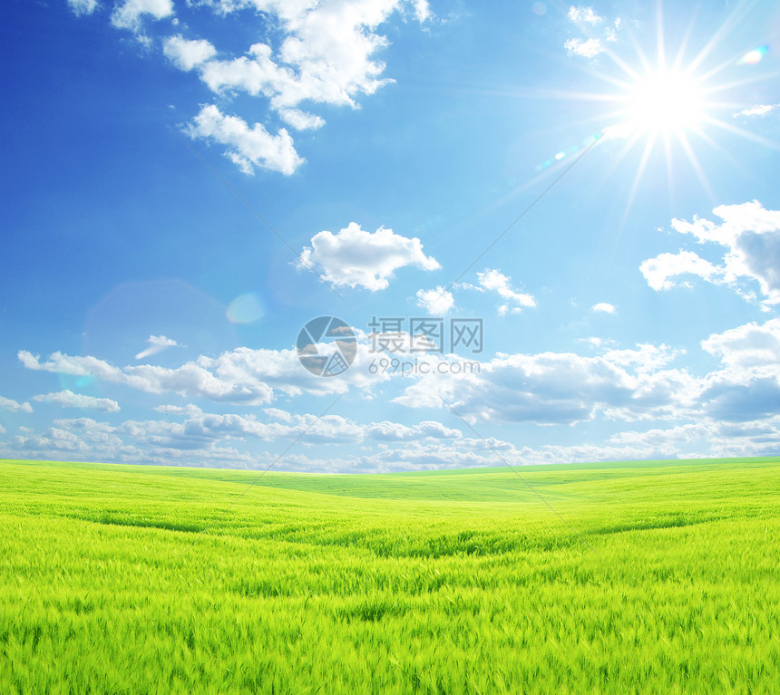 字段风景阳光土地远景场地植物季节天气农业天空图片