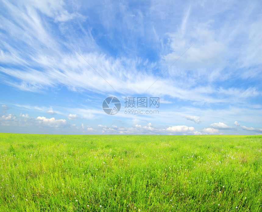 字段风景地平线远景季节草地乡村植物天气牧场天空图片