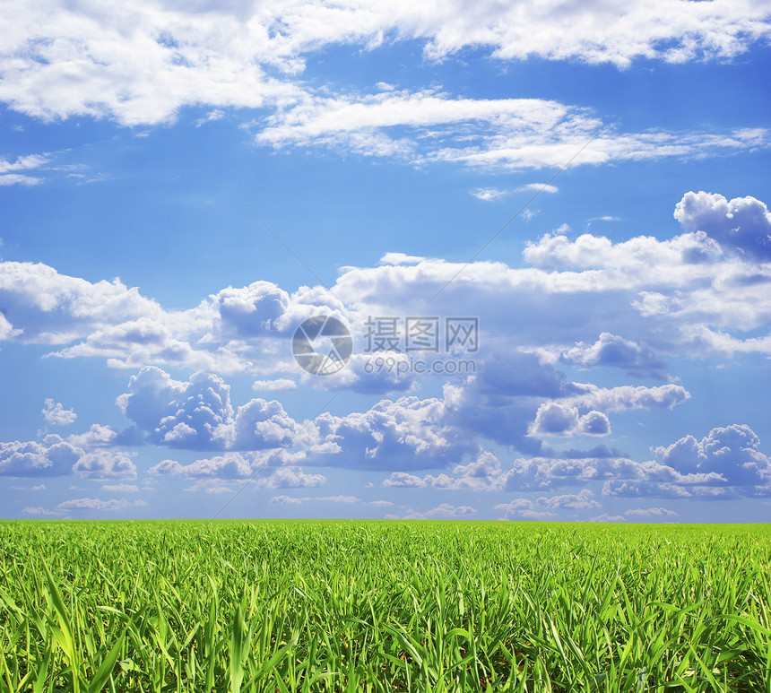 字段草地场地风景远景农场天气农业植物地平线季节图片