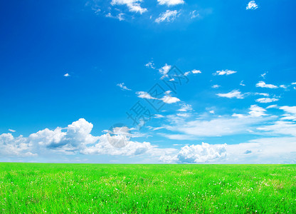 字段季节乡村天气远景场地植物地平线天空绿色土地背景图片